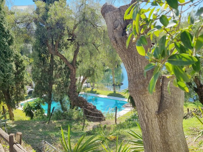Apartment for Sale  in Benahavis, Malaga 23