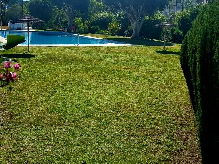 Apartment for Sale  in Benahavis, Malaga 24