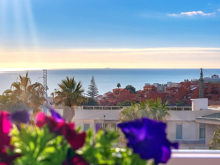 Town House for Sale  in Estepona, Malaga 22