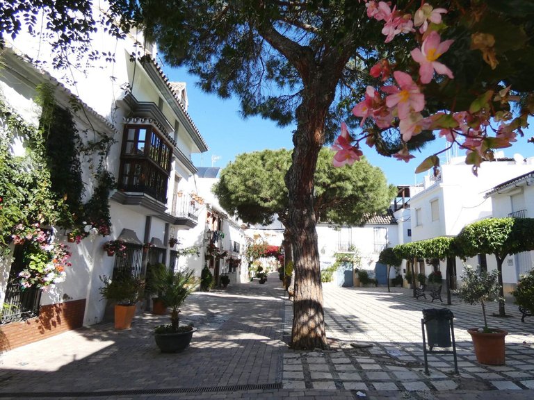 Town House for Sale  in Estepona, Malaga 3