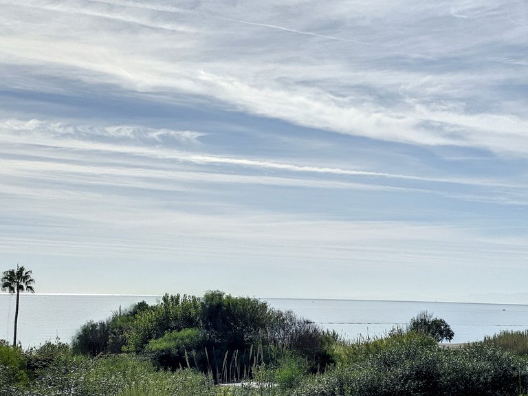 Plot for Sale  in Estepona, Malaga 14