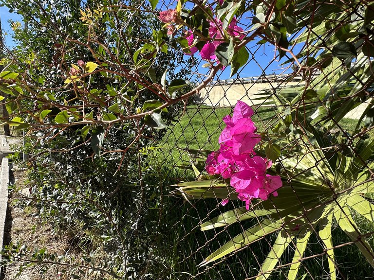 Plot for Sale  in Estepona, Malaga 10