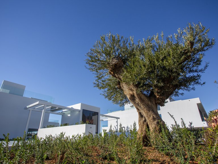 Villa for Sale in Marbella, Malaga 19