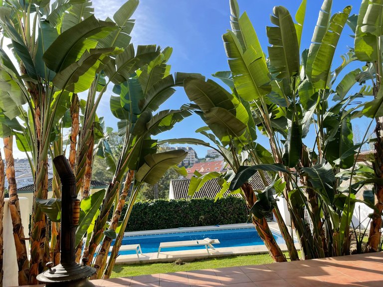 Villa for Sale in Marbella, Malaga 7