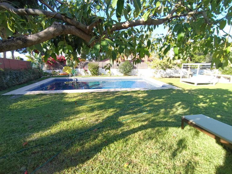 Villa for Sale in Marbella, Malaga 4
