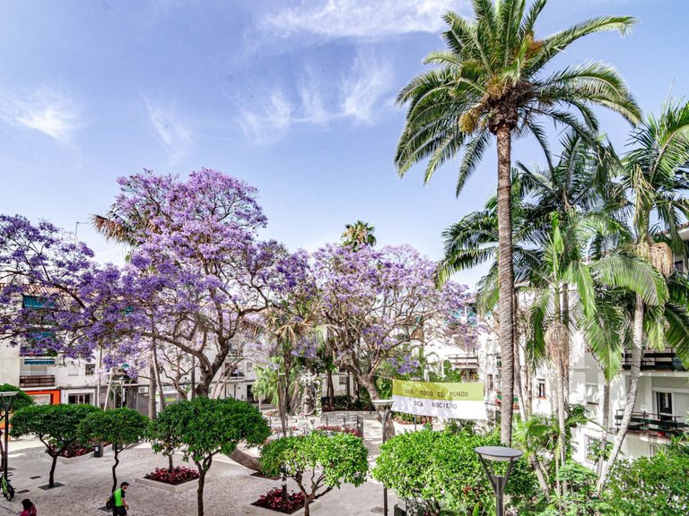 Apartment for Sale in Estepona, Malaga 23