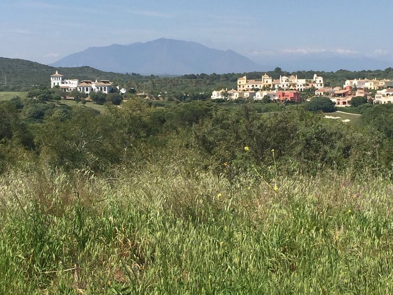 Plot for Sale in Sotogrande Cadiz 6