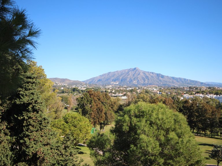 Apartment for Sale in Estepona Malaga 20