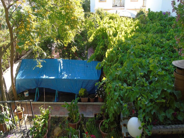 Town House for Sale in Estepona, Malaga 6