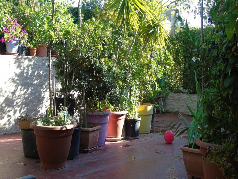 Town House for Sale in Estepona, Malaga 4