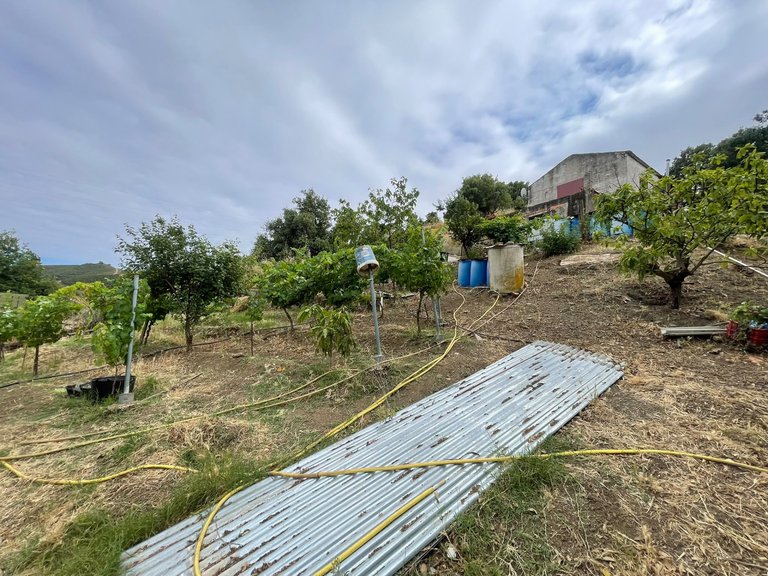 Plot for Sale in Los Reales - Sierra Estepona, Estepona, Malaga 11