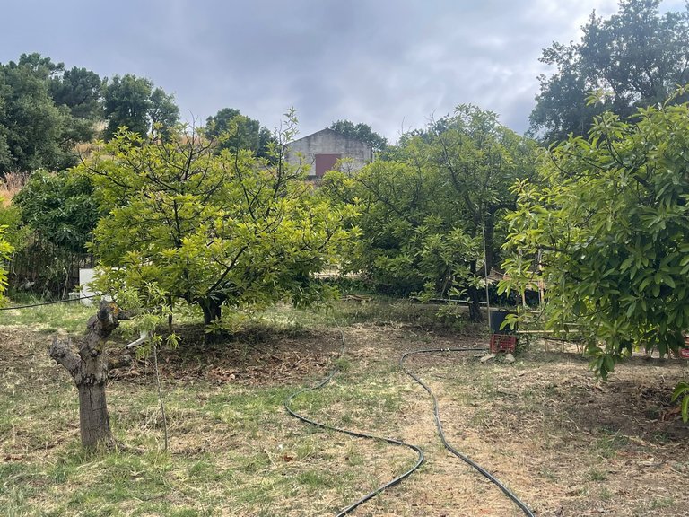 Plot for Sale in Los Reales - Sierra Estepona, Estepona, Malaga 9