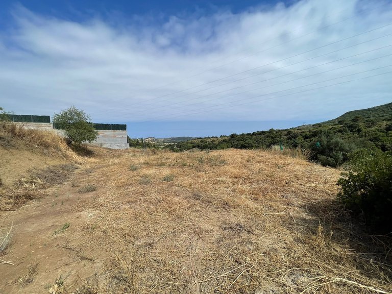 Plot for Sale in Los Pedregales, Estepona, Malaga 7