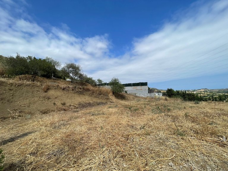 Plot for Sale in Los Pedregales, Estepona, Malaga 6