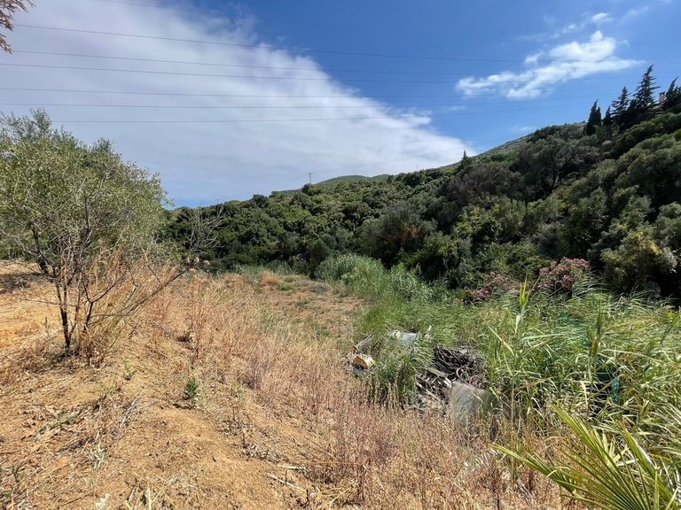 Plot for Sale in Los Pedregales, Estepona, Malaga 14