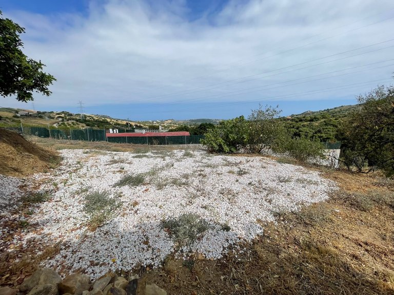 Plot for Sale in Los Pedregales, Estepona, Malaga 3