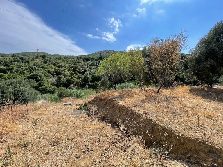Plot for Sale in Los Pedregales, Estepona, Malaga 12