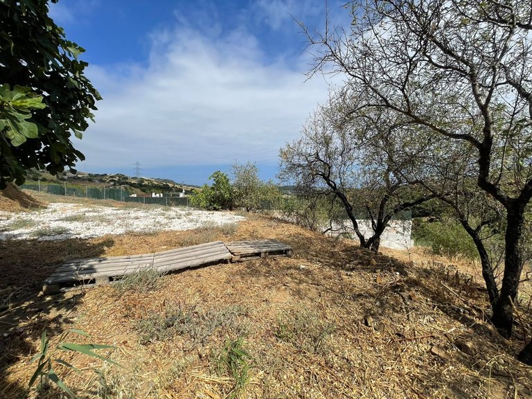 Plot for Sale in Los Pedregales, Estepona, Malaga 10