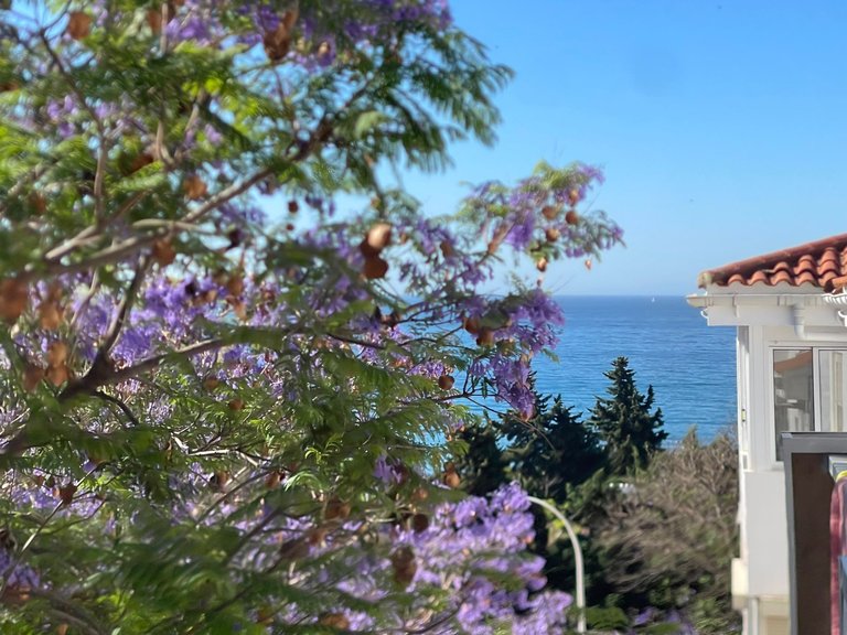 Apartment for Sale in Estepona Centre, Estepona, Malaga 1
