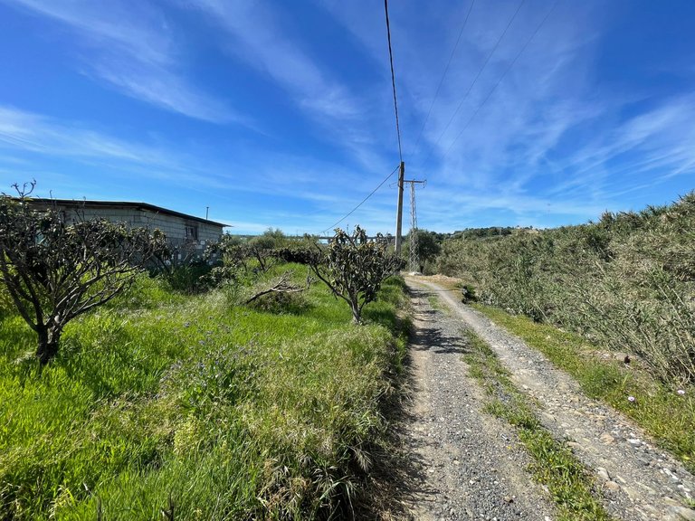 Plot for Sale in Guadalobon, Estepona, Malaga 4