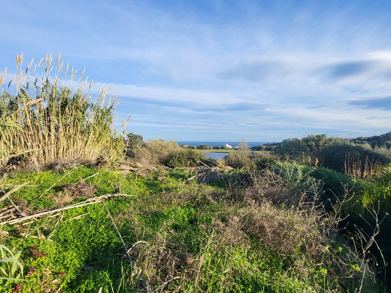 Plot for Sale in Valle Romano, Estepona, Malaga 1