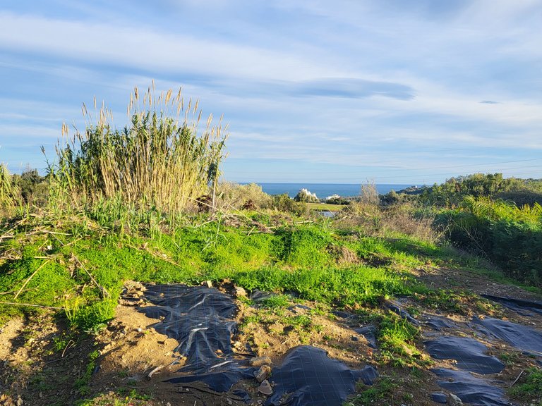 Plot for Sale in Valle Romano, Estepona, Malaga 2