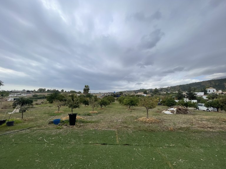 Country House for Sale in Reinoso, Estepona, Malaga 44