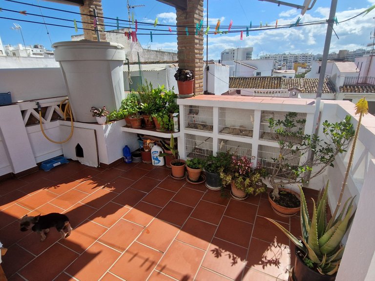 Villa for Sale in Estepona Old Town, Estepona, Malaga 2