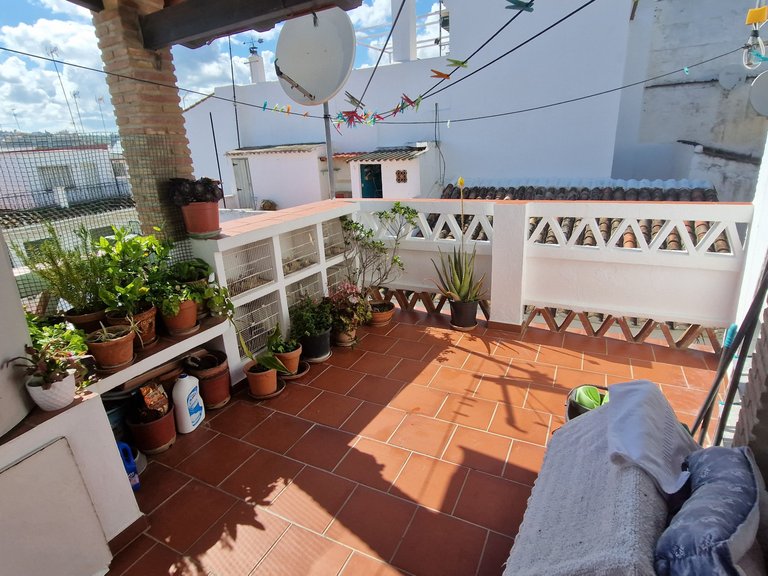 Villa for Sale in Estepona Old Town, Estepona, Malaga 24