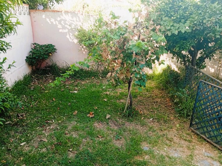 Town House for Sale in Nueva Atalaya, Estepona, Malaga 34
