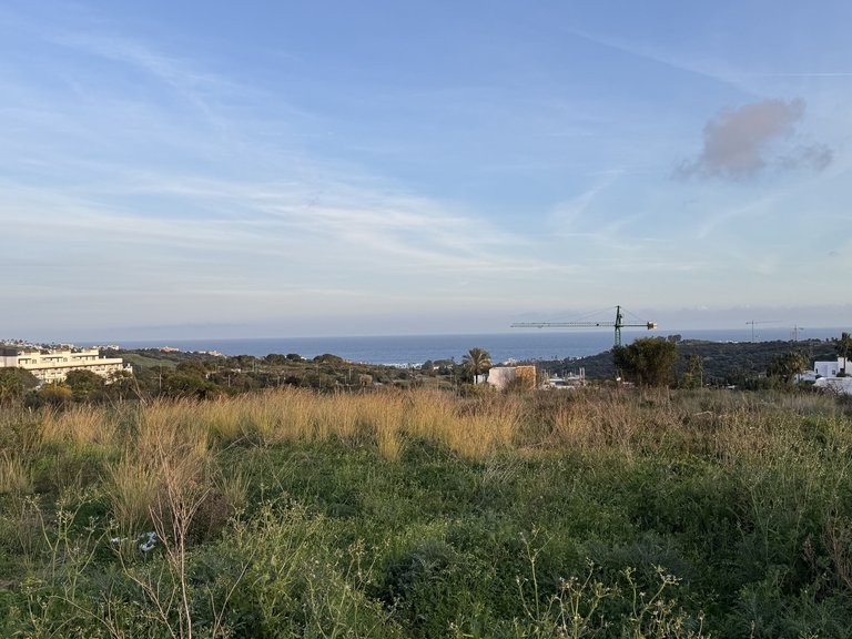 Villa for Sale in Valle Romano, Estepona, Malaga 4