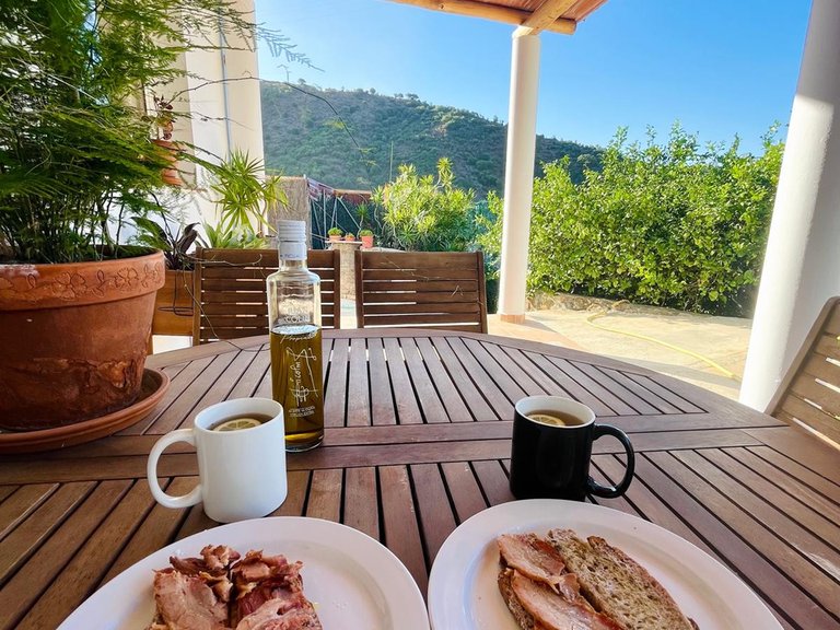 Country House for Sale in Los Pedregales, Estepona, Malaga 21