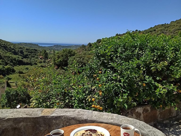 Country House for Sale in Los Pedregales, Estepona, Malaga 39