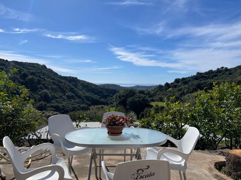 Country House for Sale in Los Pedregales, Estepona, Malaga 20