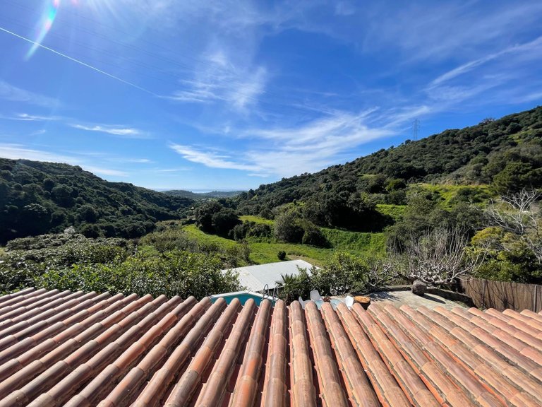 Country House for Sale in Los Pedregales, Estepona, Malaga 33