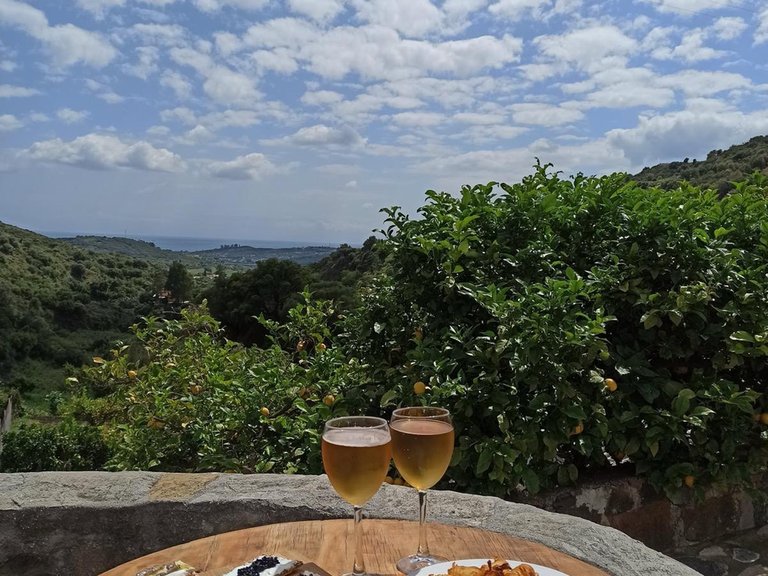 Country House for Sale in Los Pedregales, Estepona, Malaga 38