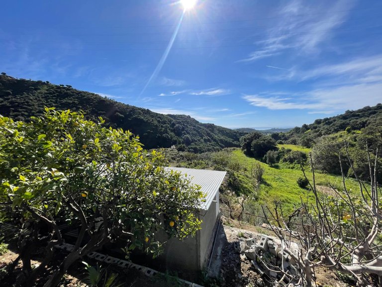 Country House for Sale in Los Pedregales, Estepona, Malaga 31