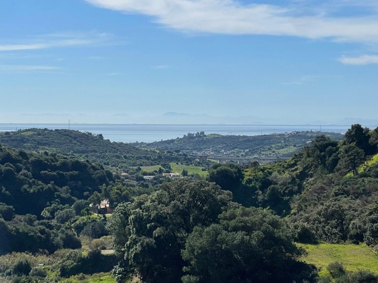 Country House for Sale in Los Pedregales, Estepona, Malaga 37
