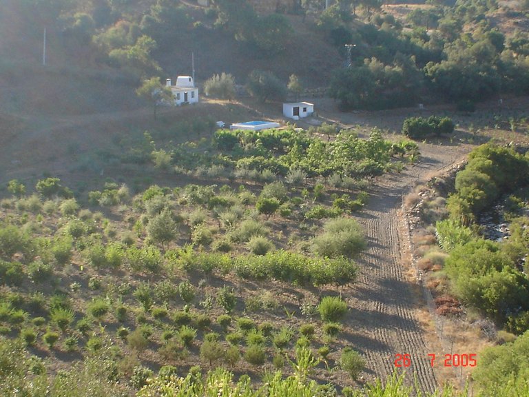 Plot for Sale in El Padron, Estepona, Malaga 17