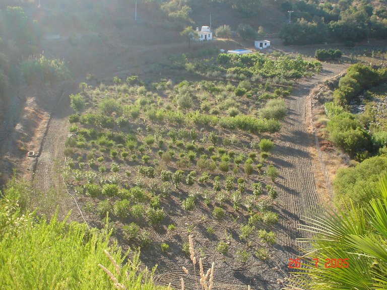 Plot for Sale in El Padron, Estepona, Malaga 8