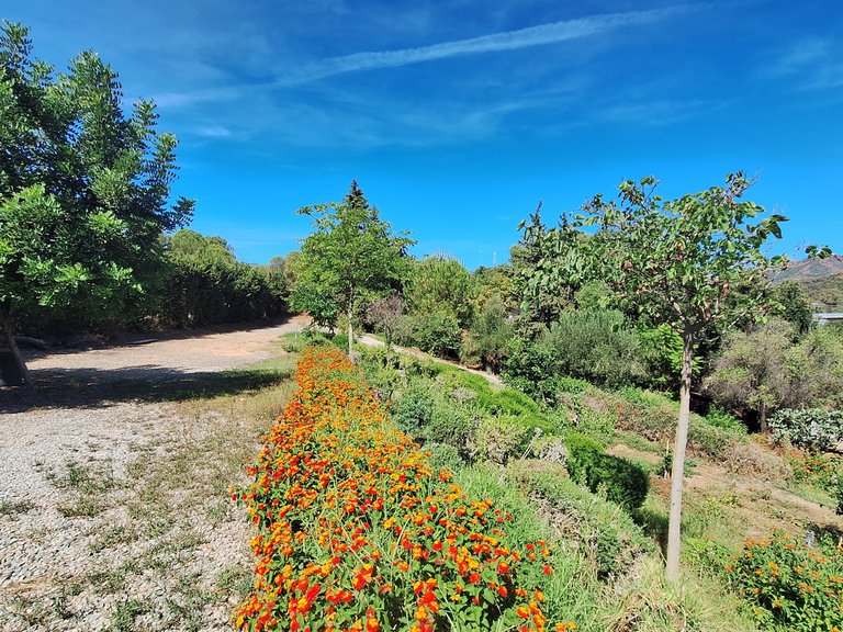 Country House for Sale in El Velerin, Estepona, Malaga 29