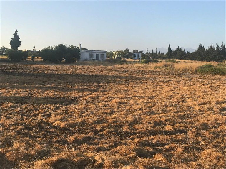 Plot for Sale in Reinoso, Estepona, Malaga 2