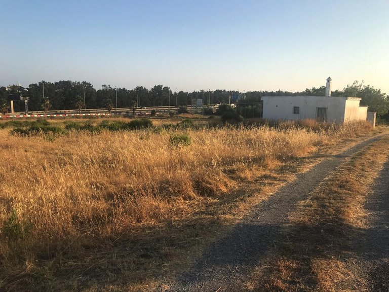 Plot for Sale in Reinoso, Estepona, Malaga 1
