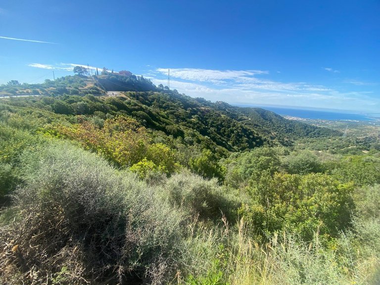 Plot for Sale in Los Reales - Sierra Estepona, Estepona, Malaga 3