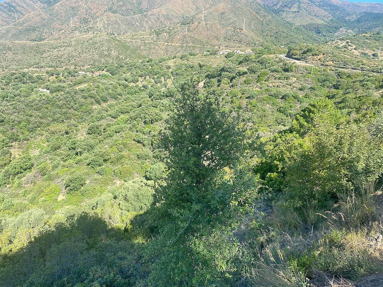 Plot for Sale in Los Reales - Sierra Estepona, Estepona, Malaga 5