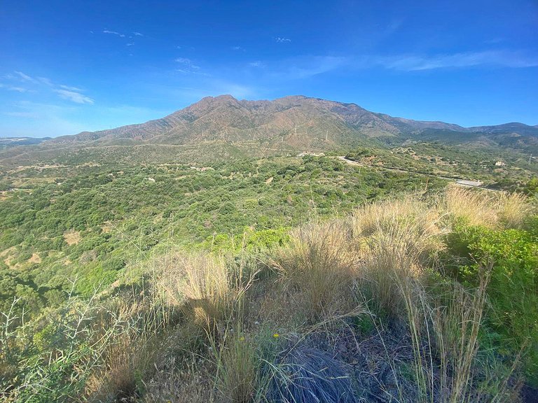 Plot for Sale in Los Reales - Sierra Estepona, Estepona, Malaga 2