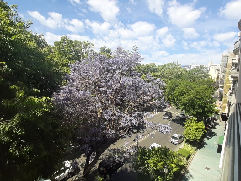 Apartment for Sale in Ricardo Soriano, Marbella, Malaga 21