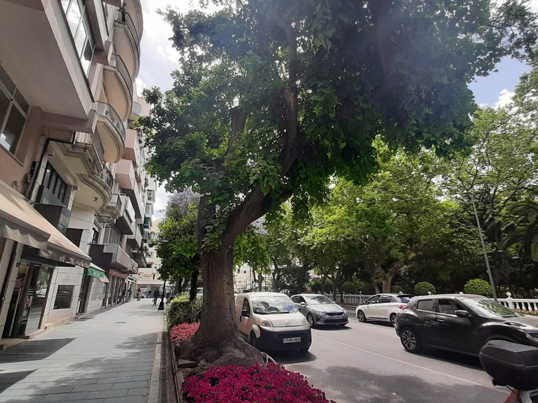 Apartment for Sale in Ricardo Soriano, Marbella, Malaga 22