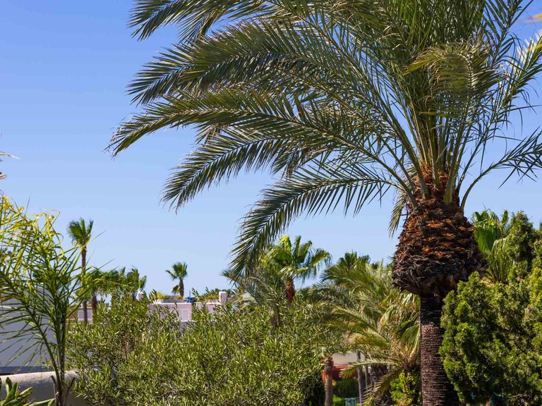 Town House for Sale in Los Lacasitos, Sotogrande, Cadiz 41