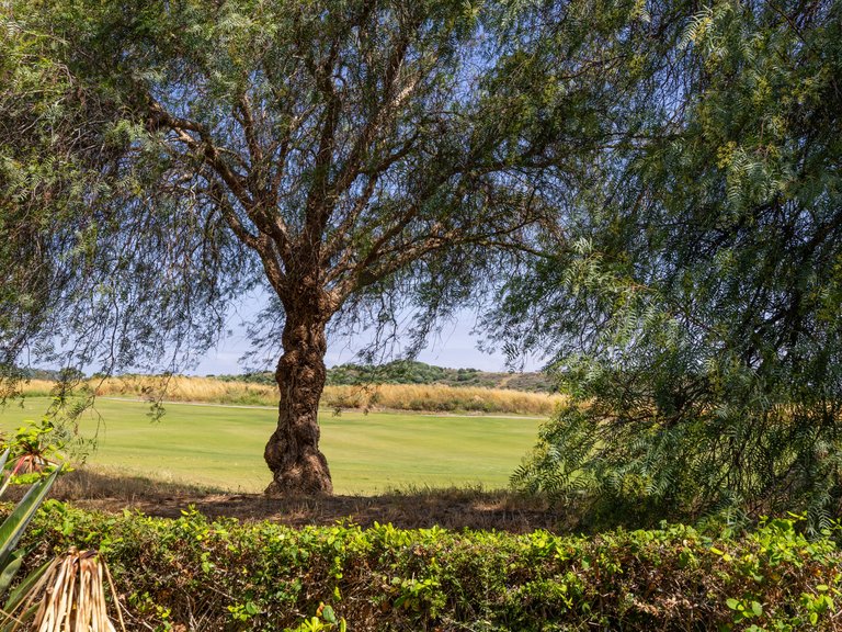 Town House for Sale in Alcaidesa, Cadiz 17